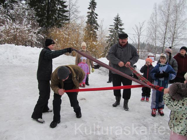 Aizgavēņa trikmiņs 2013